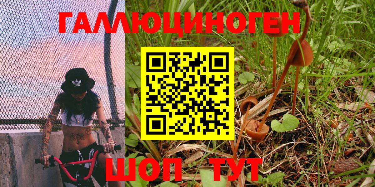 Галлюциногенные грибы мицелий Артёмовский