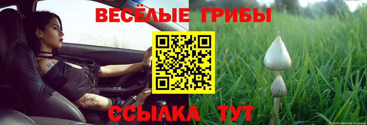 Галлюциногенные грибы мицелий  Вход с VPN  Артёмовский  магазин    Псилоцибиновые грибы Cubensis 